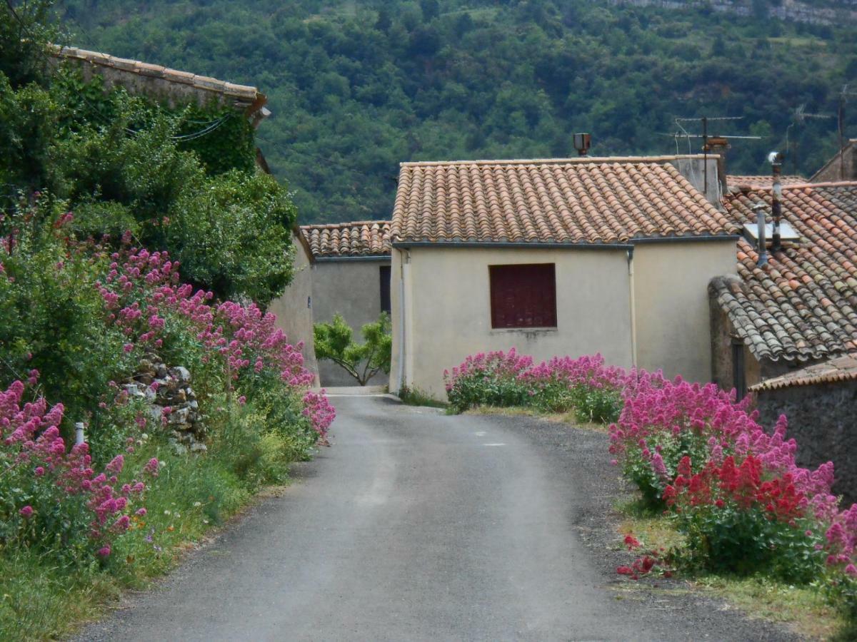 Maison Palmeral Coustaussa Экстерьер фото